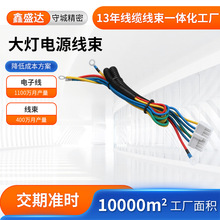 汽车车头灯电源线束 汽车射灯氛围灯线加工 汽车电子线束