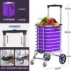 Фиолетовый (4 колеса, для ровной поверхности)