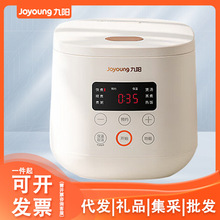 九阳2L升电饭煲电饭锅迷你家用不粘小容量一键快煮饭F-20FZ125