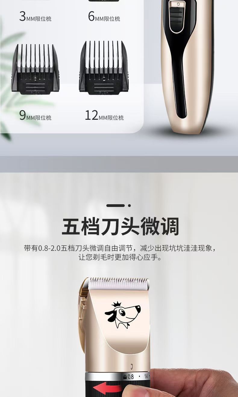 b1f5cce4-6978-47ef-aa3b-2cab5789458d.jpe