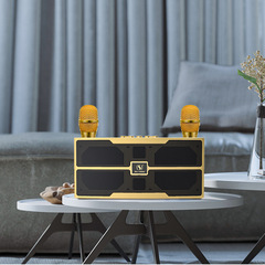 New Desktop Bluetooth Speaker YS-201 Dual Microphone Subwoofer Karaoke Multi-function Card Insert Speaker