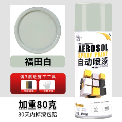 black silver paint can — Avtomobil boyası - 222-foton-white-450ml