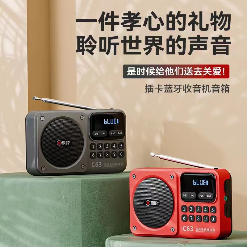 2025新款上市琅韵C63充电式蓝牙音响专业收音机插卡数码播放器