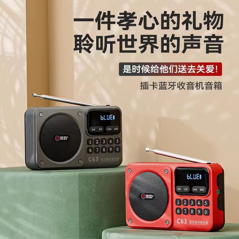 2025 New Model Launched Langyun C63 Rechargeable Bluetooth Audio Professional Radio Card Digital Player 2025 New Model Launched Langyun C63 Rechargeable Bluetooth Audio Professional Radio Card Digital Player