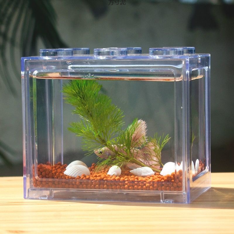 Constructor, aquarium, seaweed, wholesale