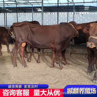 �Bֳ��ţ �����Sţ ��ľٝţ��ţ�كr�� ����е��Bţ����