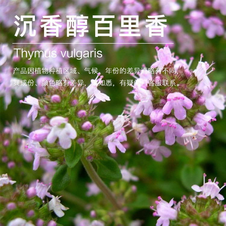 ��Ӧ���㴼�����㴿¶  ������ȡ�����㴿¶ ��ӭ��ѯ�µ�