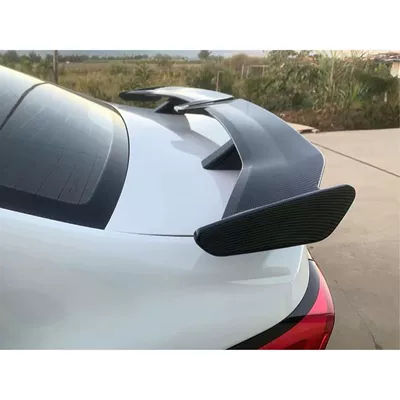 large tail moving running wing – Fixed wind wing - carbon-fiber-pattern
