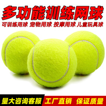 廠家批發網球訓練球成人彈力戶外練習按摩健身網球兒童玩具寵物球