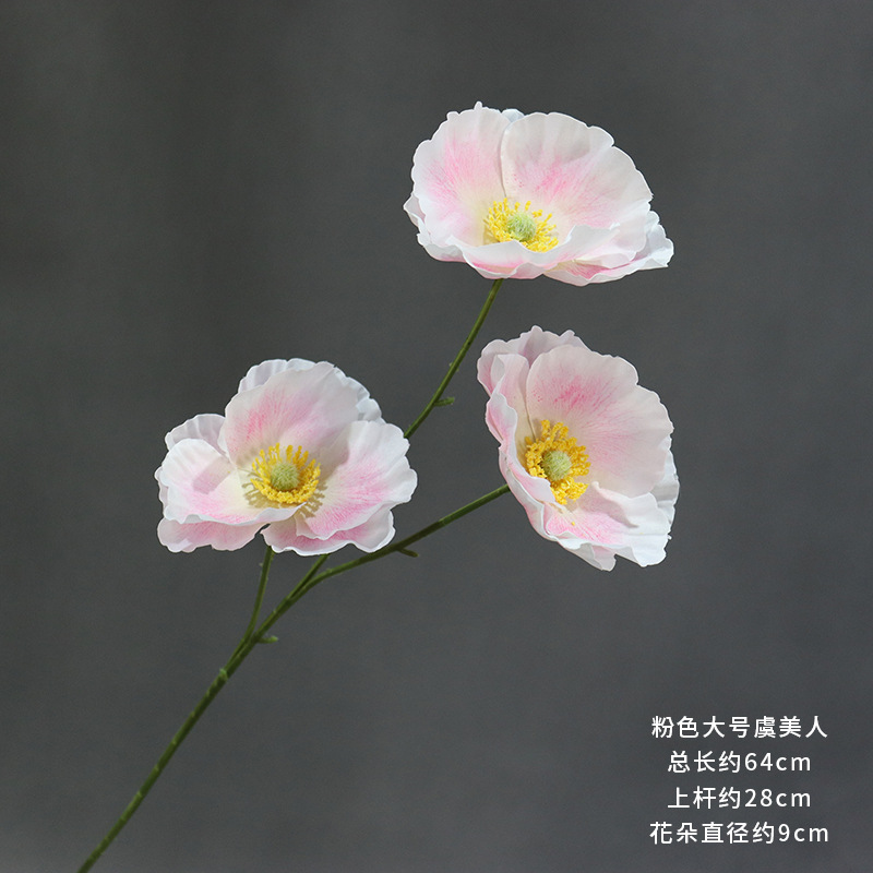 핑크색 큰 양귀비