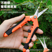 ���P䓹��@ժ�������Ѳɹ���֦��@�ֹ�����֦���������Ӽ���
