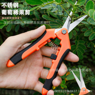 ���P䓹��@ժ�������Ѳɹ���֦��@�ֹ�����֦���������Ӽ���