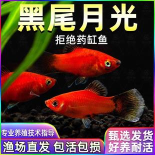 ��β�¹��~���欔���^�p�~���B�ͻ����ֺ��B̥���~����С�~�ɷ�ֳ