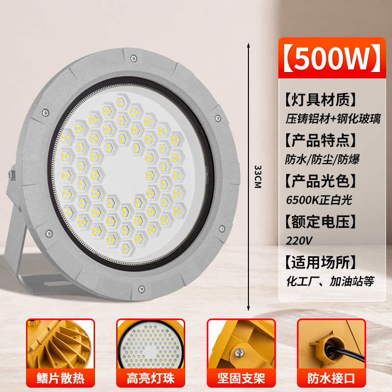 [그레이 라운드 EX 방폭등] 500W