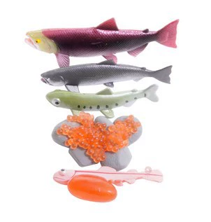 Fish growth model