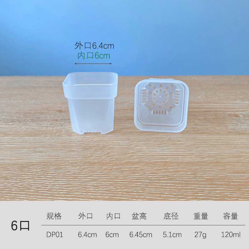 極厚多肉植物低浅角盆、生石花肉コーン播種プラスチック、シンプル挿し木、小さな白い角盆|undefined
