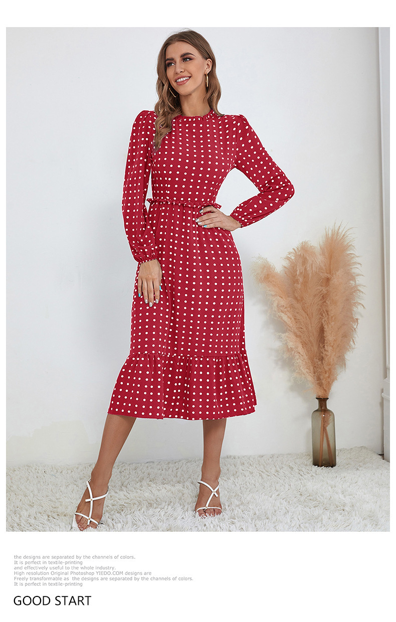 Women's A-line Skirt Vintage Style Round Neck Printing Long Sleeve Polka Dots Midi Dress Daily display picture 4