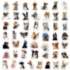 Cute dog