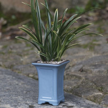 մɶ⻨Gֲm؟L͸ℓkԻ