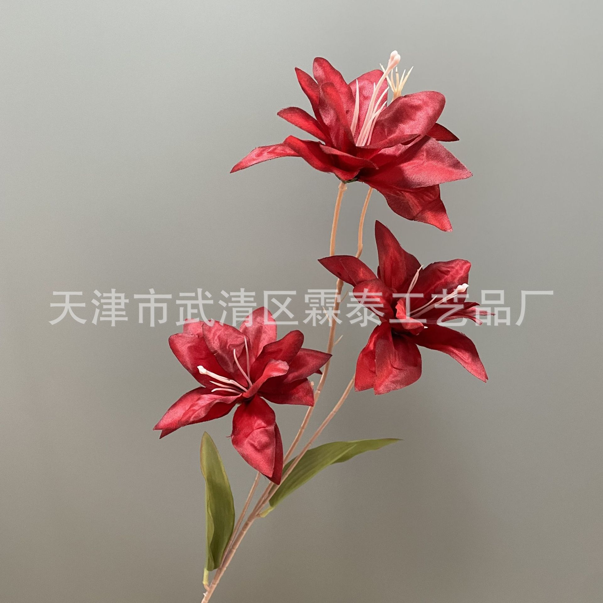 버건디