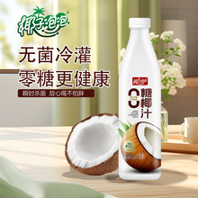 Ҭ������0��Ҭ֭1.25L*6Ҭ��֭Ҭ�̴�ƿ��Ͼ�ϯ
