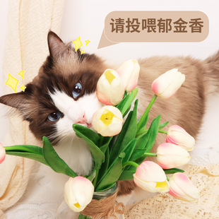 ��������滨�ߙn�ٻ���п͏d�p���҃Ȳ����[�O�߶˻����b[��