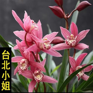̨��С���m���绨�������F���ĵ��������º������Ի��ܾGֲ