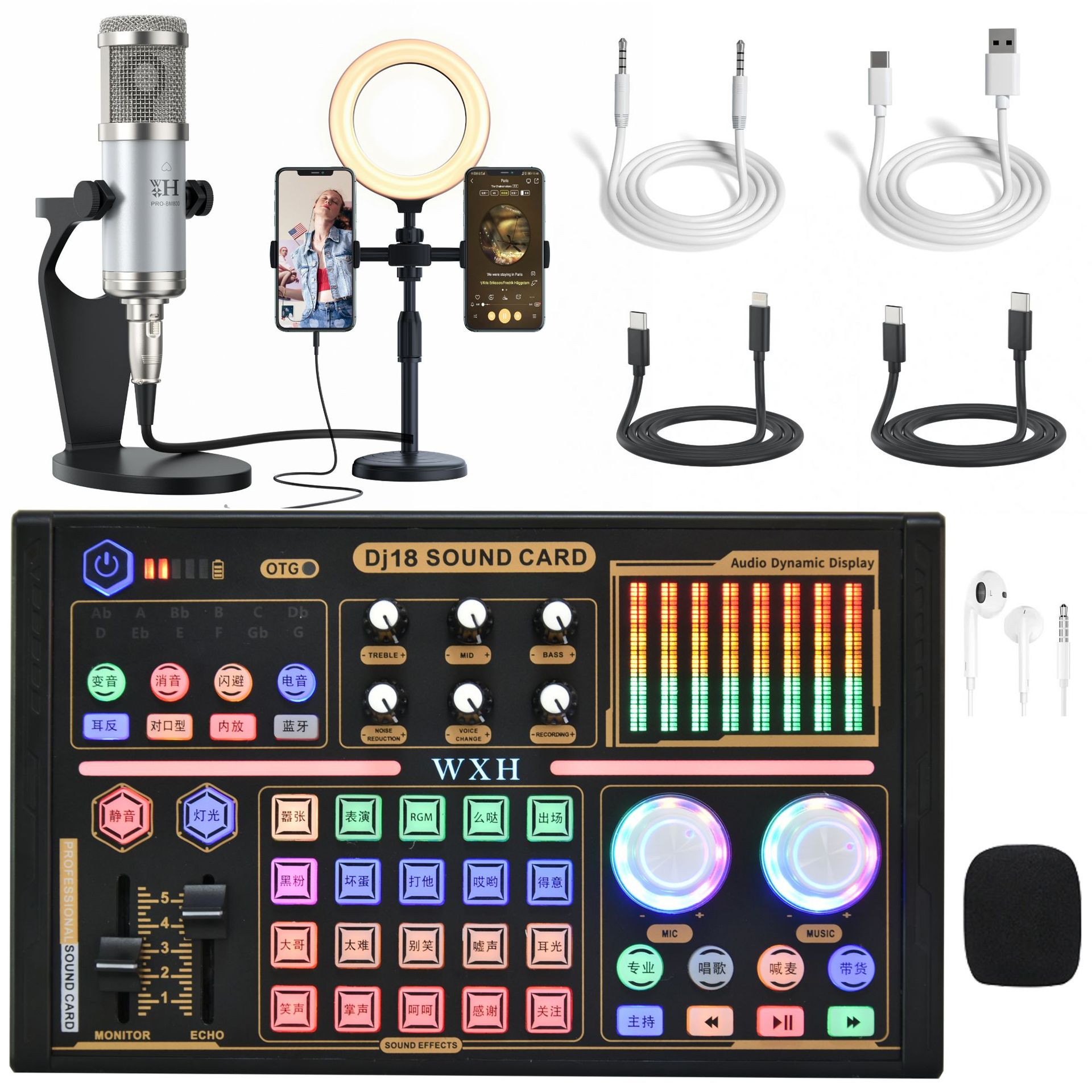 Dj18 Sound Card Live Streaming Gaming Microphone Tiktok Kuaishou Mobile Phone Computer Microphone Condenser Microphone Export Bestseller