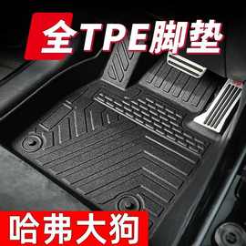 适用哈弗大狗专用tpe汽车脚垫一二代大狗新能源改装防水耐磨丝圈
