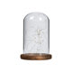 Everlasting Flower Glass Cover Glass Flower Room DIY Handmade Dustproof Cover Micro Landscape Luminous Lampshade Manufacturer Supply