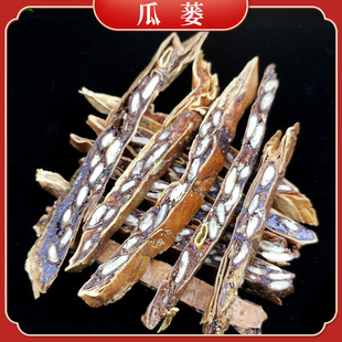 ���V ��Ʒ�|���VƤ ��؛���V�z ��� ������ș��һ�������l