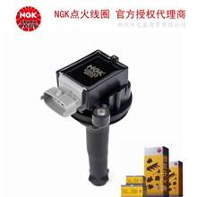 NGK�����ȦU5033 /OE ��30713417���� �����ֶ���S80L 2.4L