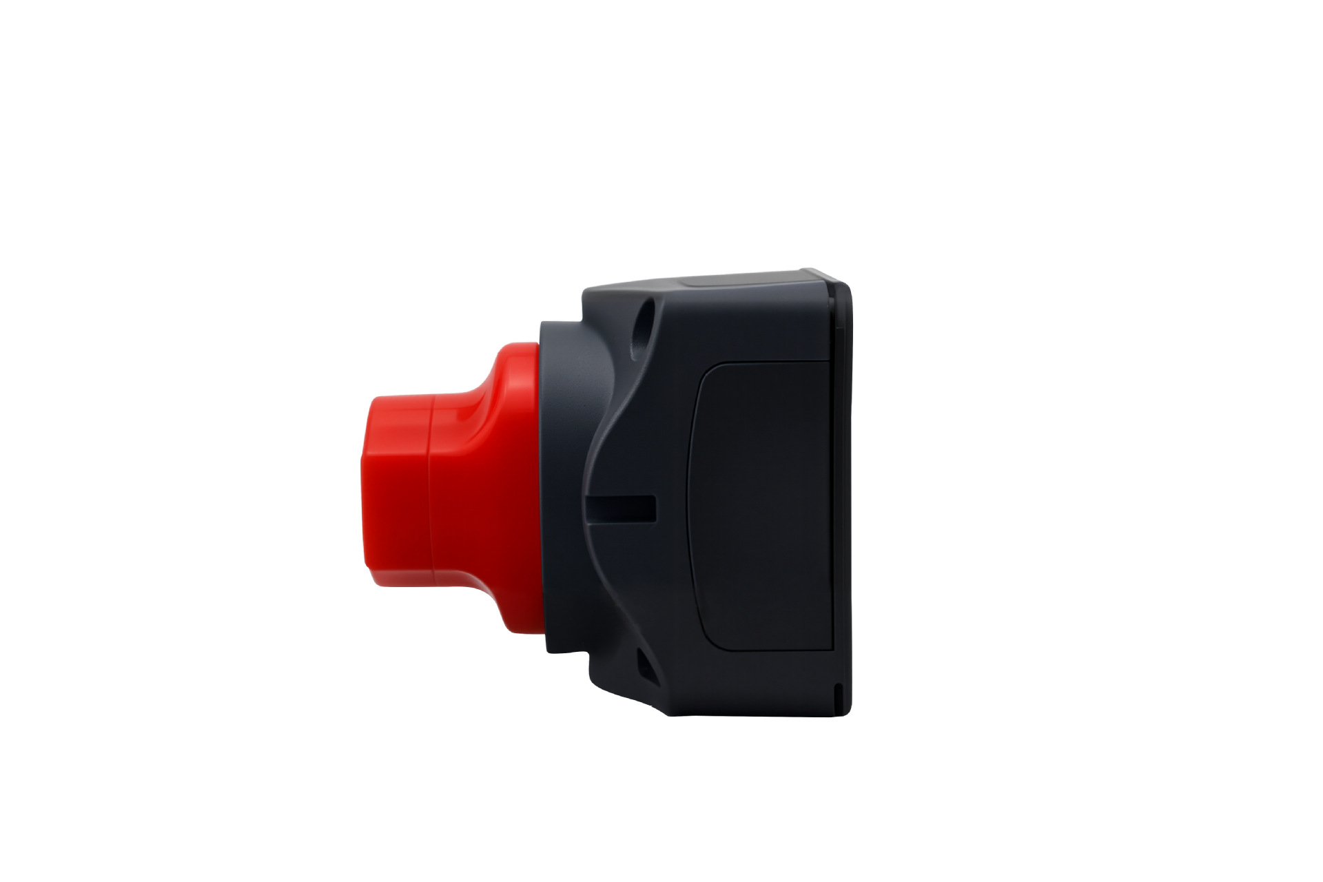 031c30e02f44fde67d8b04abc73225