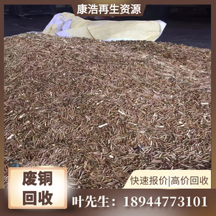 ���|ݸ��Ϫ ���� �P�������I̎��U�S�~߅����  �������ՏU�f�~��