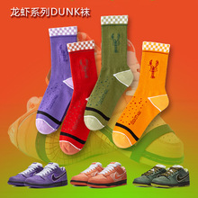 DUNK���rϵ���m�����m�����m���^���m���m�ӳ����\���m��