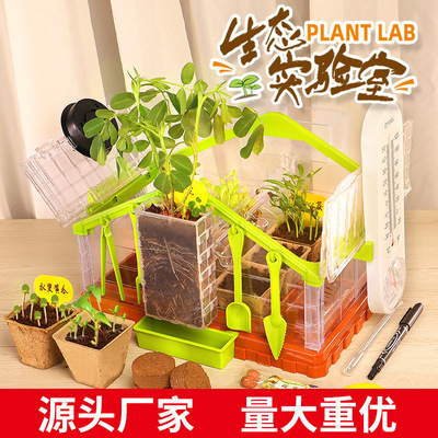 儿童种植阳光房DIY小盆栽太阳能种菜玩具植物观察窗科学实验套装|ms