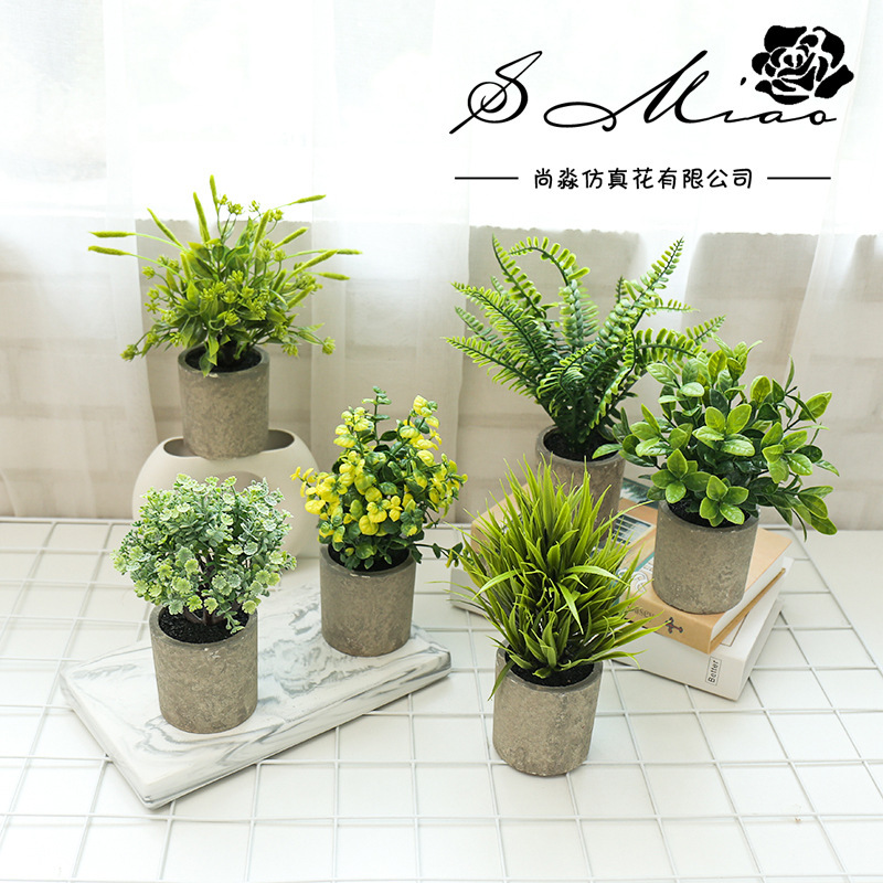 Set de 6 piezas púrpura oscuro verde ☆