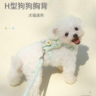 Dog Leash Cat Dog Leash Dog Leash Small Dog Walking Dog Teddy Puppy Vest Pet Chest Strap