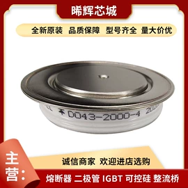 普通晶闸管;IGBT模块;其他二极管