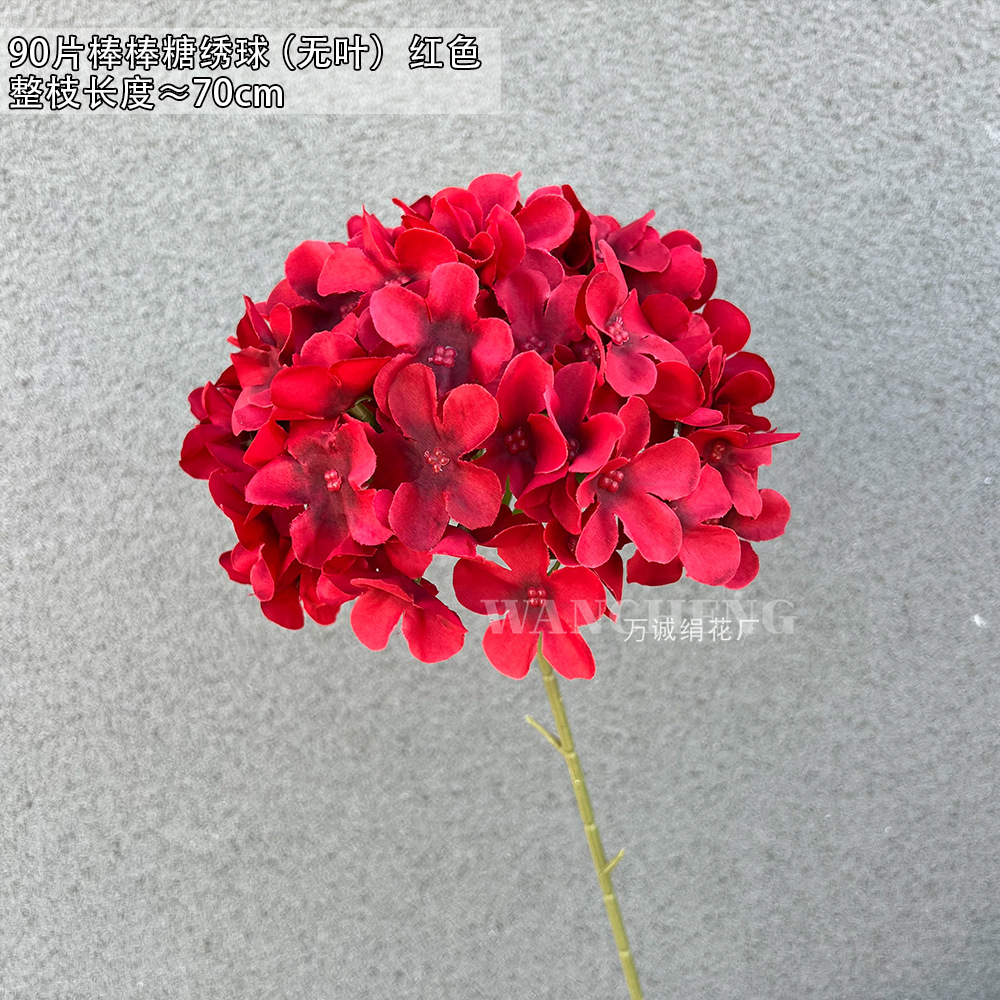 빅 레드 90 롤리팝 수국 (잎 없음)