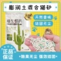 上门代发送货仙人掌小颗粒