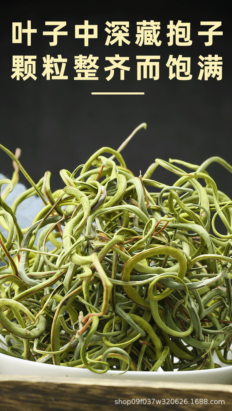 Wild Small Leaf Orthosiphon Kidney Tea Mao Xu Cao Dried Herb for Daily Herbal Infusion 250g specifications