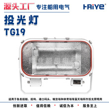 ��������±�ٻ����ˮ����Ͷ��� TG19 ˫�ƹ�˫���Ƶ�400W E40
