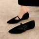 3686-K203 French temperament small pointed slope follow-up shoes suede commuting casual straight belt Mary Jane shoes for women