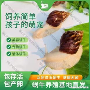 ΁ţ���l�W���^�p����[������ֳ�����