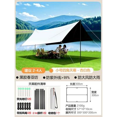 outdoor camping waterproof rainproof – Avtomobil yan çətirləri - small-size-9m2-black-and-white-tetragonal