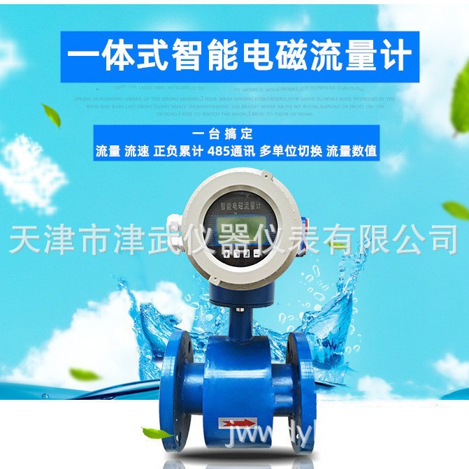 中环天仪LD电磁流量计涡街流量计川仪涡流流量计西门分体式