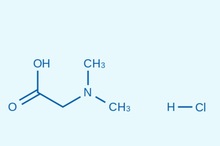 N,N-׻ʰ}} Cas̖2491-06-7