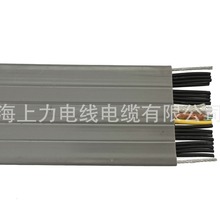 ��ݱ�ƽ��|TVVBPG  14*0.75+1*1.5+2*2P*0.5+2S