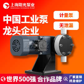 DJ-L型隔膜式计量泵计量泵 污水计量泵现货电动隔膜计量泵 定金